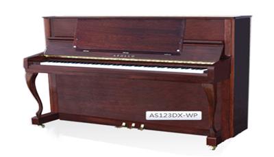 AS123DX-WP